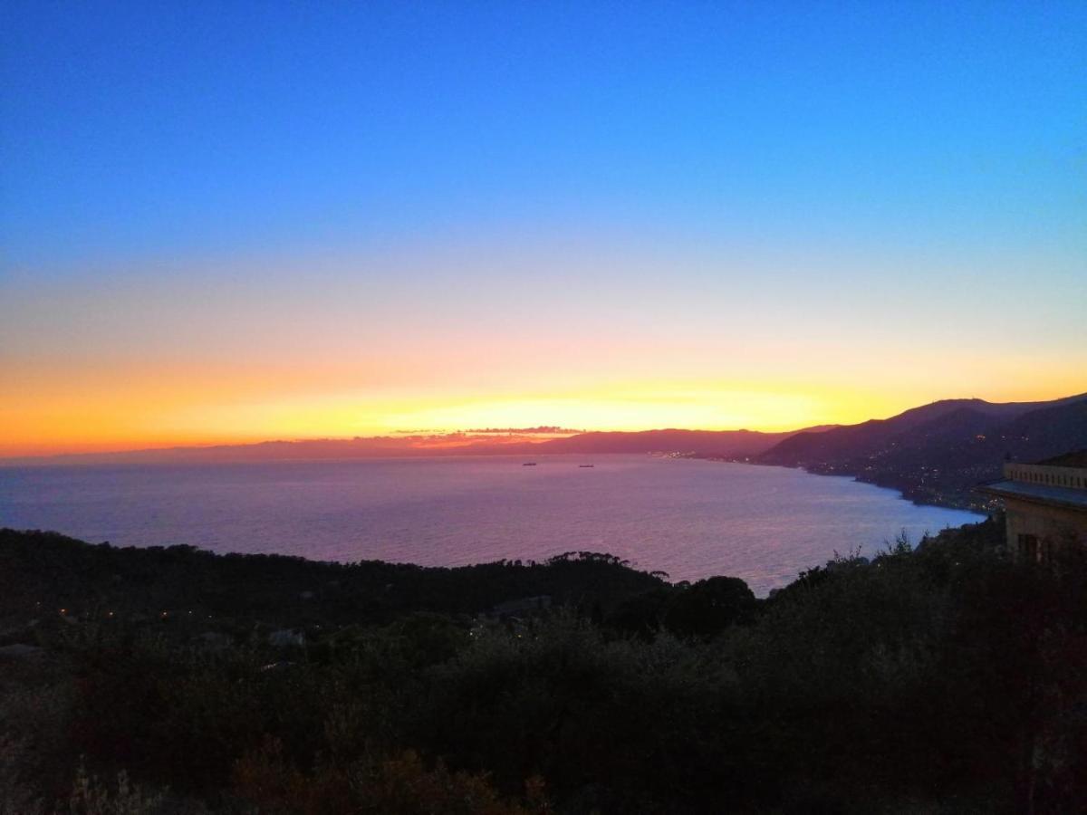 La Casa Che T'Ama A Ruta Di Camogli Βίλα Εξωτερικό φωτογραφία
